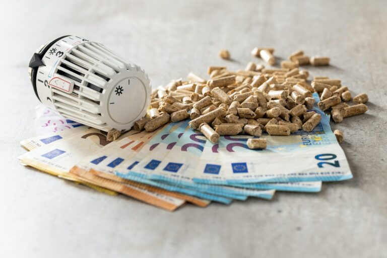 Wooden pellets, euro banknotes and thermostatic head. Ecologic heating.